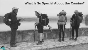 What is so special about the Camino?