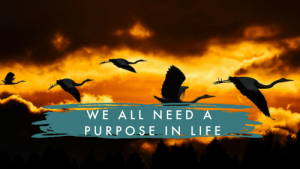 A PURPOSE IN LIFE
